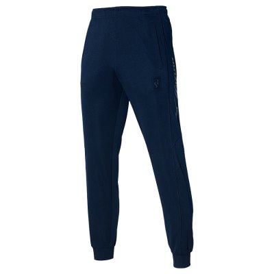 Pantalon Mizuno Track SR Hombre Azul Marino - Chile M027ATMRLQ